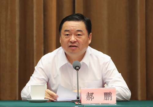 郝鹏、国资、央企、国资委、书记、主任、国企、企业鼎新